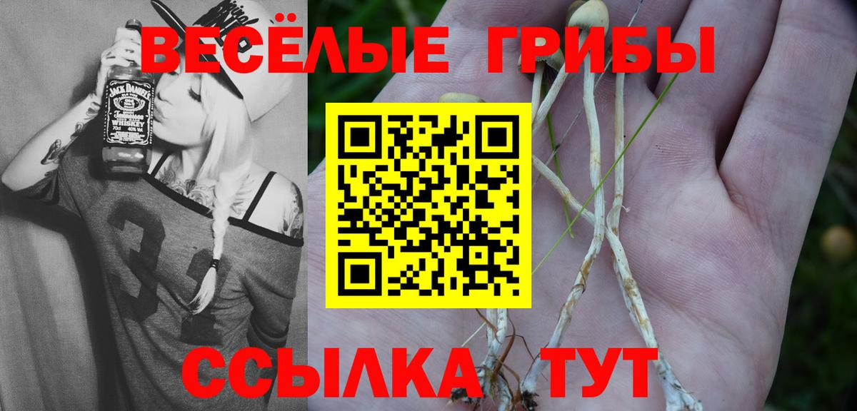 Галлюциногенные грибы Cubensis Зеленодольск