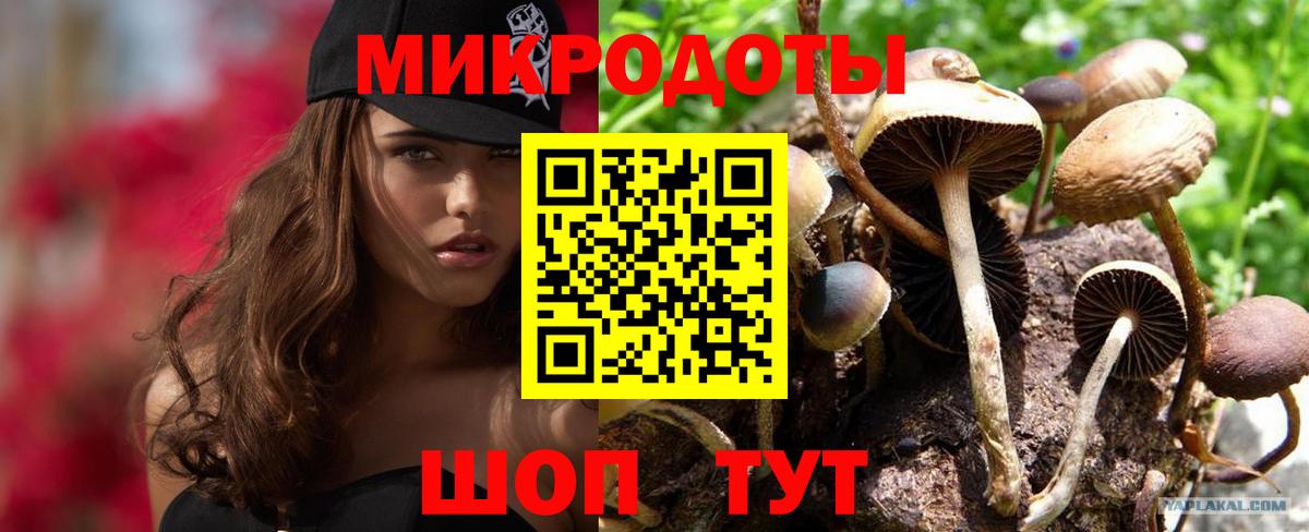 Меф Зеленодольск