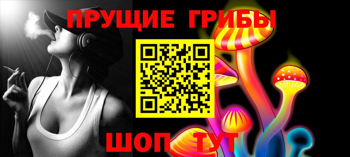 Зеленодольск  сколько стоит  Вход с VPN  Псилоцибиновые грибы мицелий 